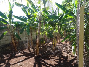 10407664_1029715673709073_8602935756235890626_n